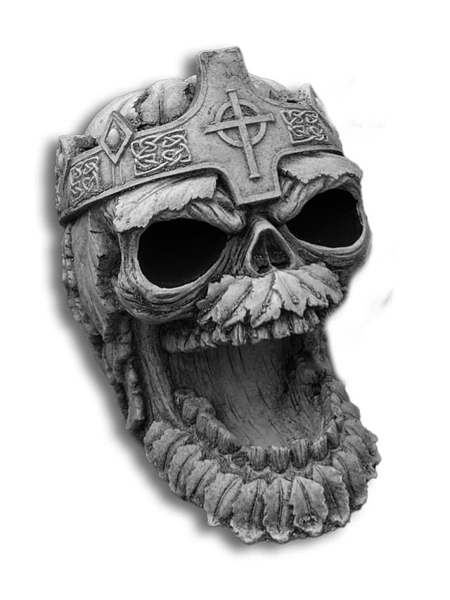 CZACHA CZASZKA KRÓLA